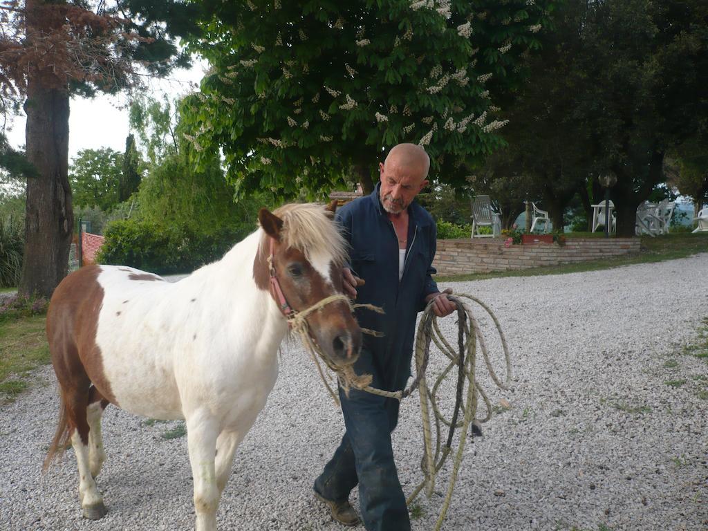 Agriturismo Santa Chiara Pomarance Exteriör bild